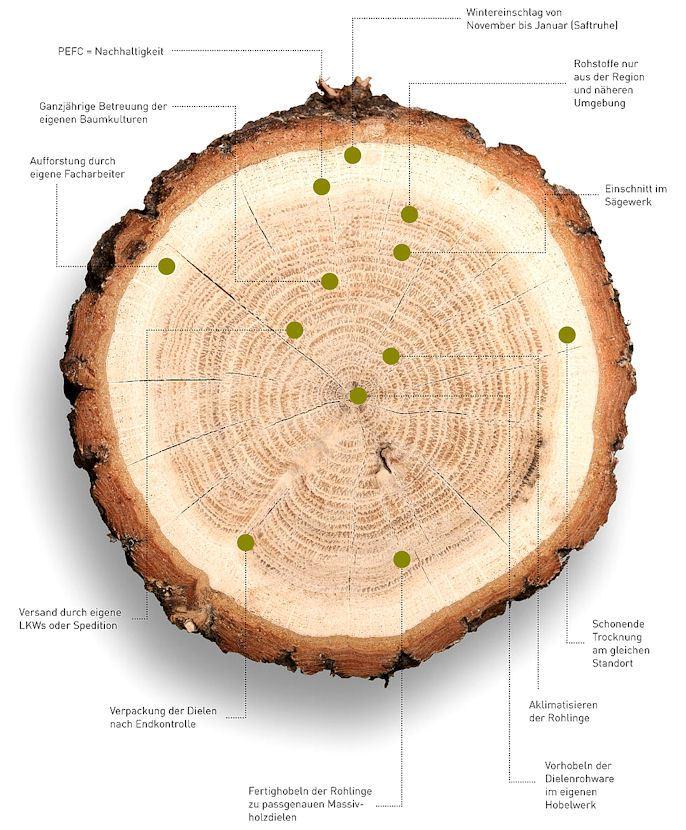 So sieht nachhaltige Holzwirtschaft aus: eigene Aufforstung, regionale Wälder, heimische Fertigung